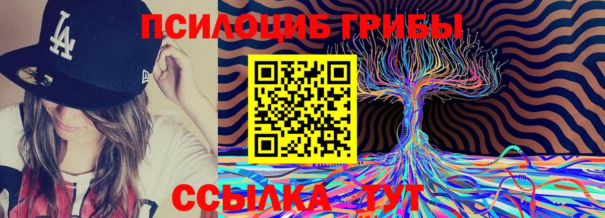 Галлюциногенные грибы MAGIC MUSHROOMS Тимашёвск