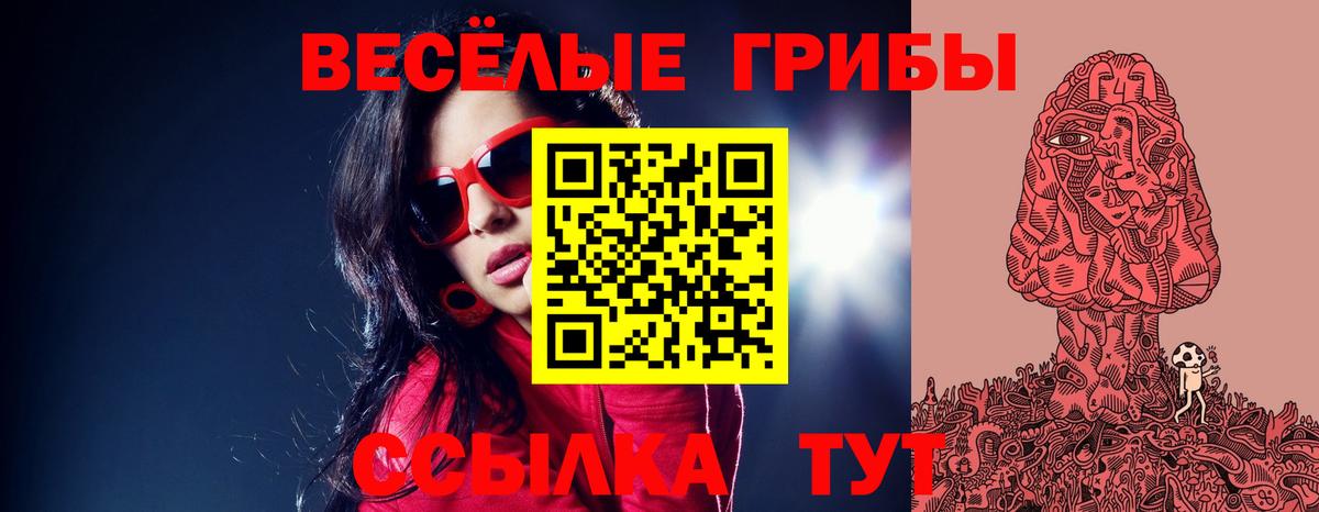 где найти наркотики  Галлюциногенные грибы Psilocybine cubensis  Вход с VPN  Тимашёвск  Псилоцибиновые грибы MAGIC MUSHROOMS 